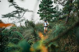 BIB: 
                            <button type="button" onclick="openModal(25258194)" class="btn btn-primary btn-sm float-right btn-popup" data-toggle="modal" data-target=".modal-high-quality">
                        <i class="fas fa-shopping-cart"></i> Add to Cart
                    </button>
                                            <button type="button" onclick="isThisMe(25258194, true)" class="btn btn-success btn-sm float-right btn-popup btn-isme hidden" data-toggle="tooltip" data-placement="bottom" title="นี่คือรูปของคุณใช่ไหม คลิกที่นี่เพื่อเอาเข้าอัลบั้ม">
                        <i class="fas fa-plus"></i> Add to album
                    </button>
                    <button type="button" onclick="isThisMe(25258194, false)" class="btn btn-warning btn-sm float-right btn-popup btn-isnotme hidden">
                        <i class="fas fa-ban"></i> Remove from album
                    </button>